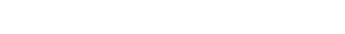 Luis Sebastian Portfolio Logo Image
